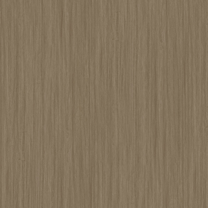 X2008 eucalyptus