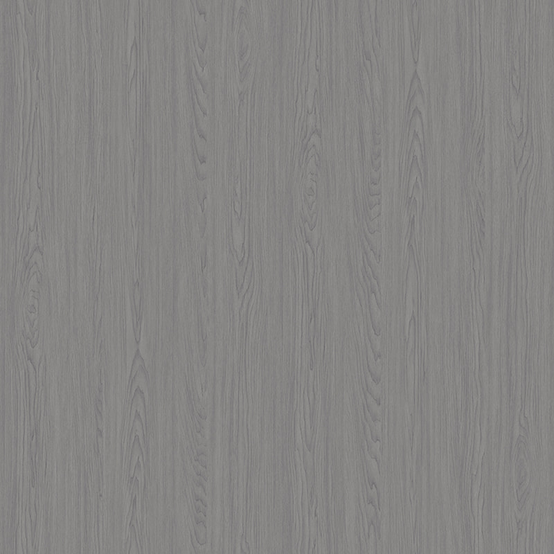 X2033 Greek Maple